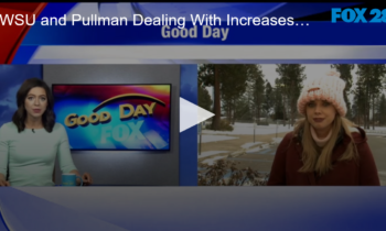 WSU and Pullman Dealing With Increases In COVID Cases with 4 Step Plan
