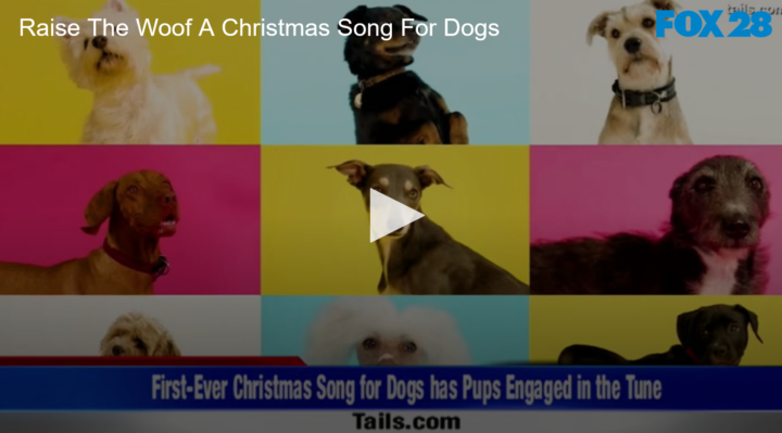 2020-11-19 Add New Post ‹ FOX 28 Spokane — WordPress(4)