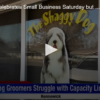 Businesses Celebrates Small Business Saturday but Still Struggles with Capacity Limits