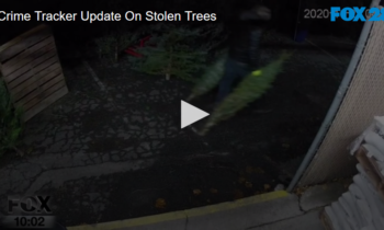 Crime Tracker Update on Stolen Trees