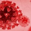 California announces first case of virus variant
