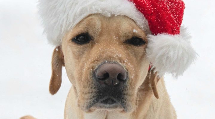 BrendaWeeks | FOX 28 Spokane