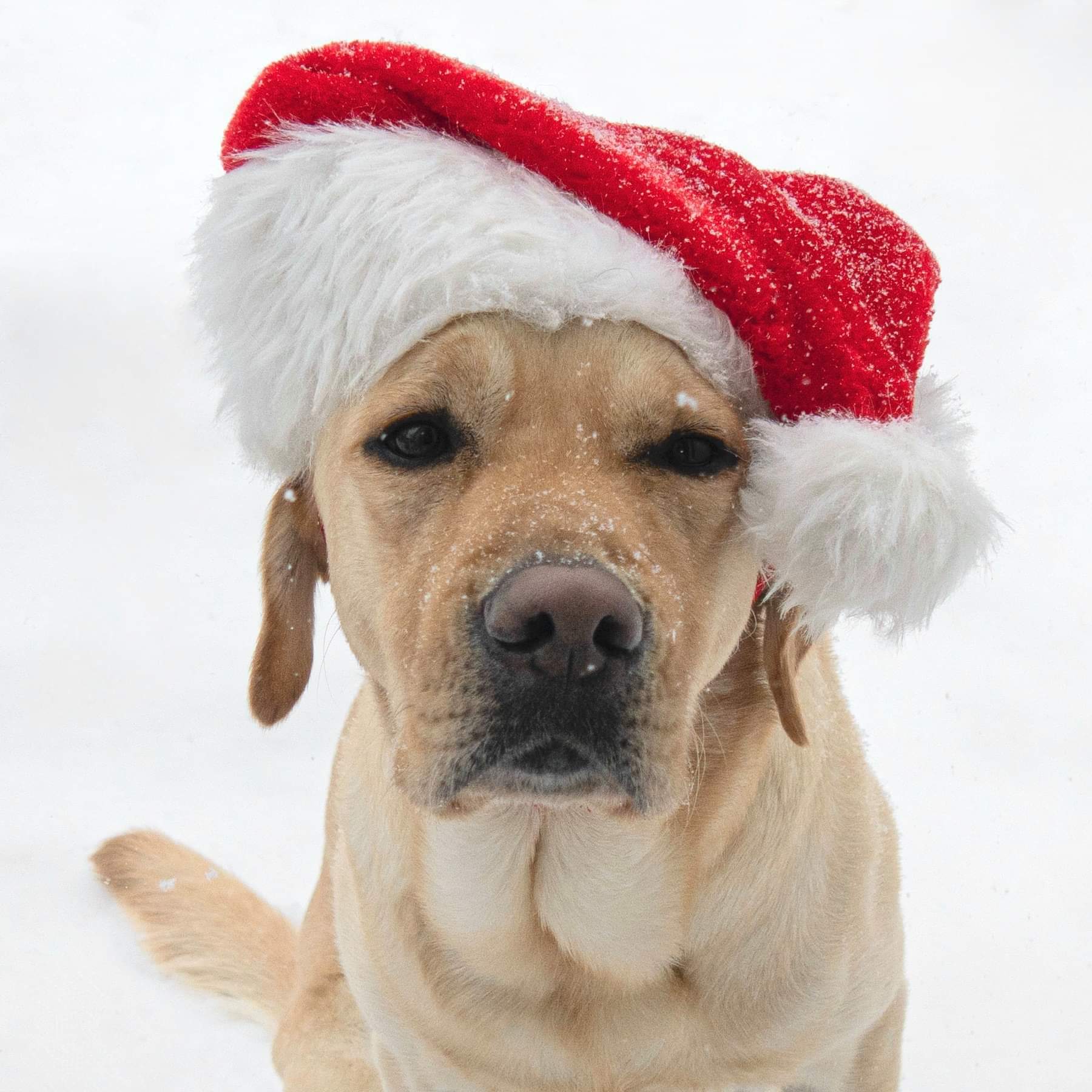 BrendaWeeks | FOX 28 Spokane