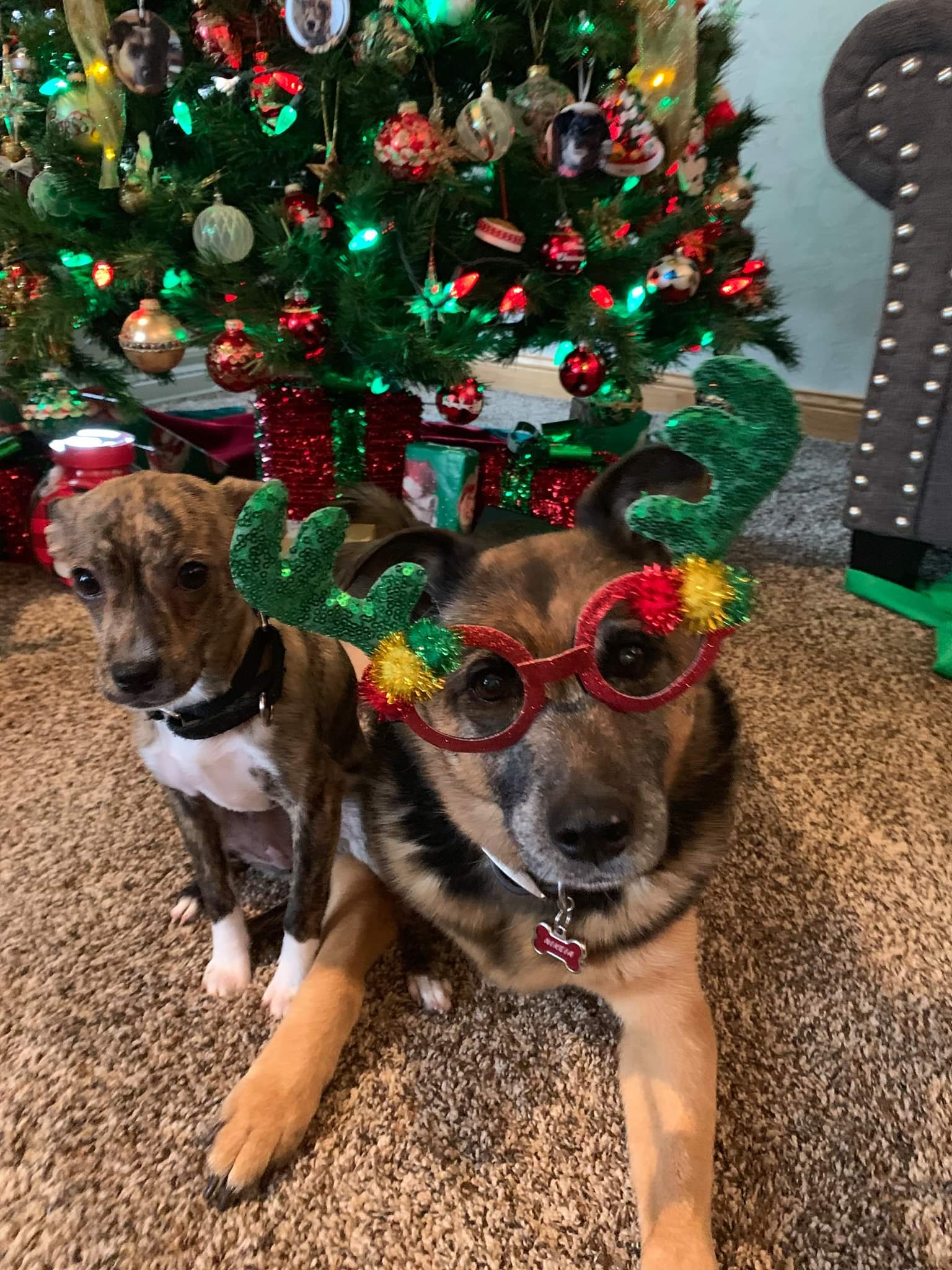 CarinSiglTwo | FOX 28 Spokane