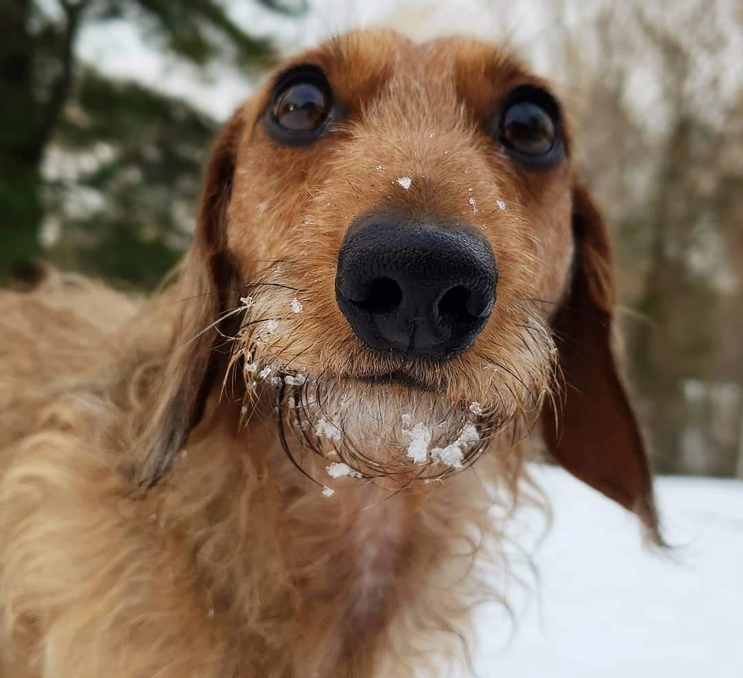 ErinSaywell | FOX 28 Spokane