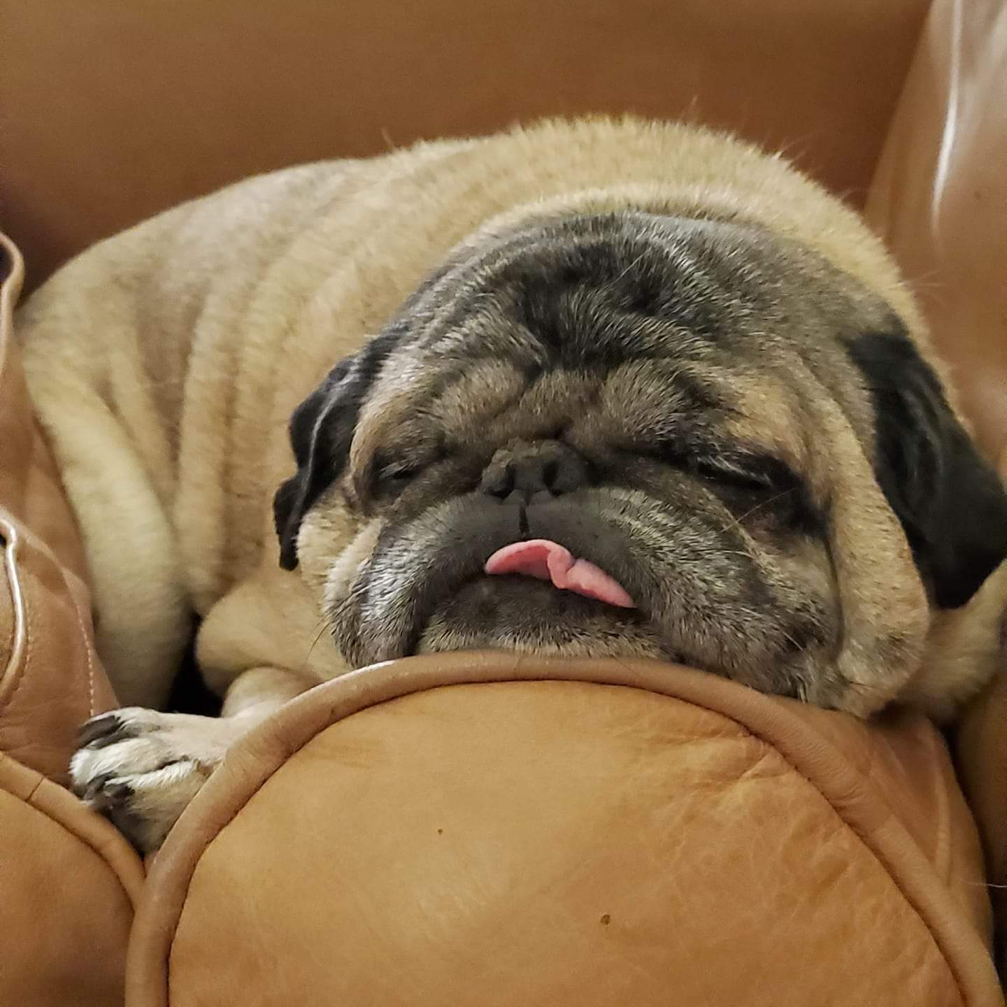 GingerEwing | FOX 28 Spokane