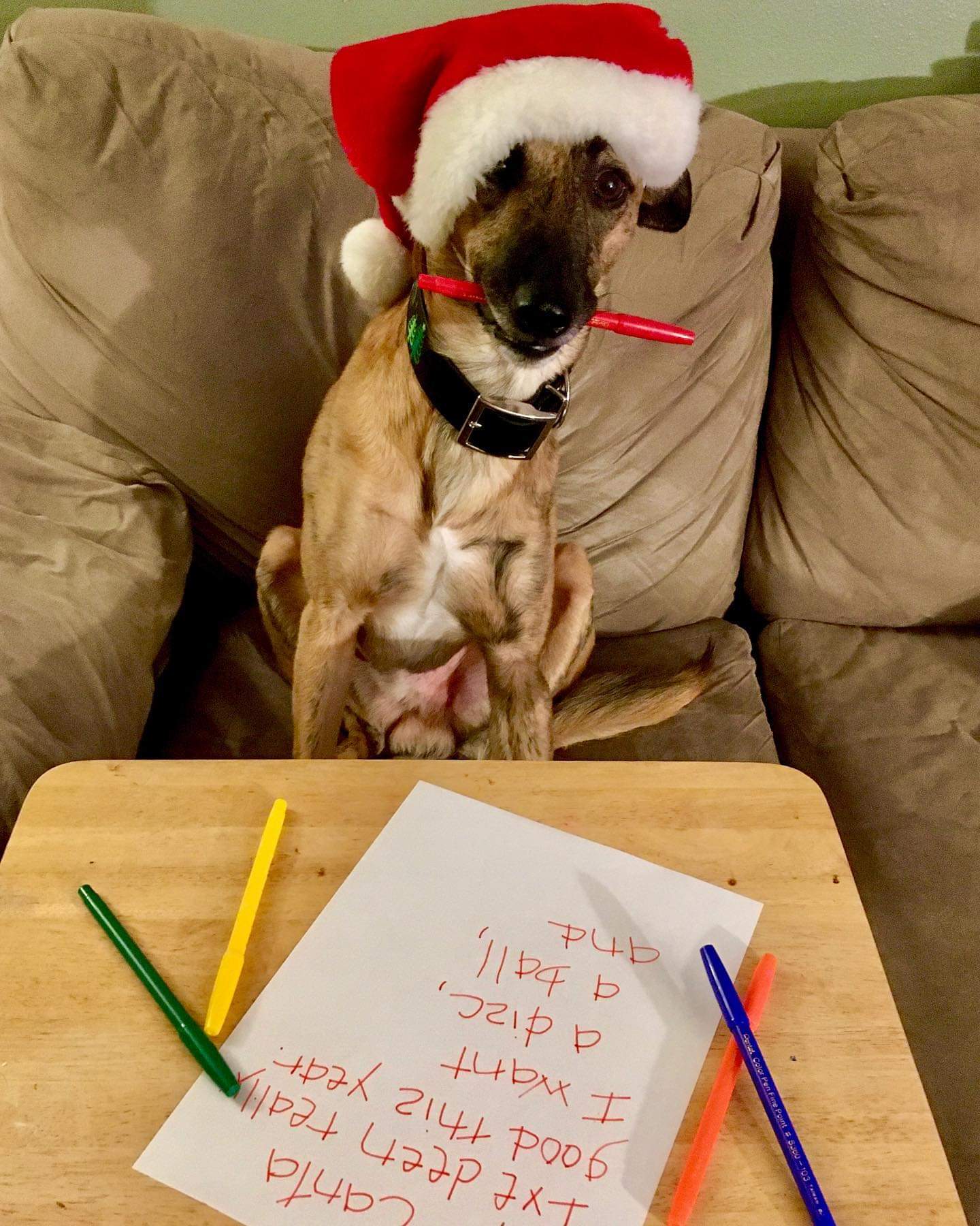 JessiPierce | FOX 28 Spokane