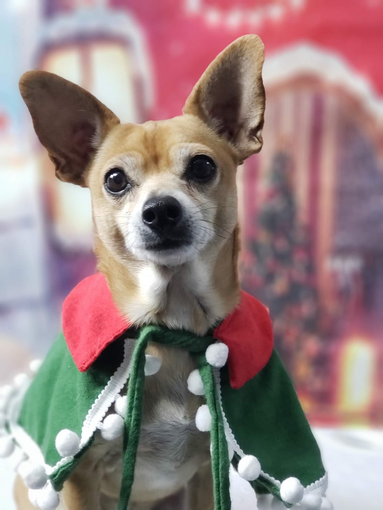 JulieParker | FOX 28 Spokane