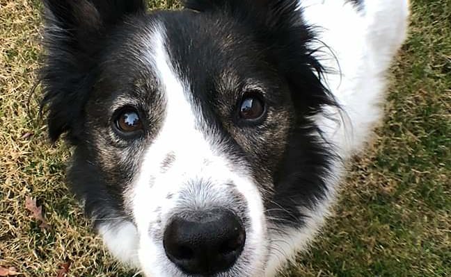 KatCamplin | FOX 28 Spokane