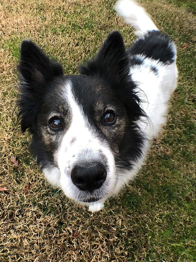 KatCamplin | FOX 28 Spokane