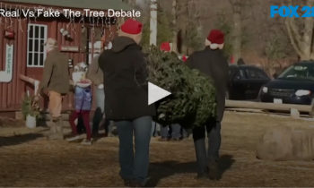 Real vs. Fake The Tree Debate