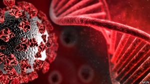 5ff51ae3c5bf1.image.jpg | FOX 28 Spokane