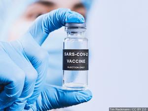 60102782698b1.image.jpg | FOX 28 Spokane