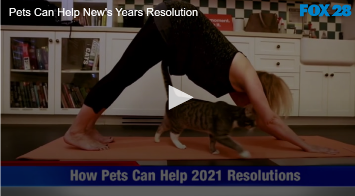 woman doing downward dog yoga pose with cat walking next to her