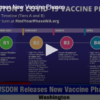 graph of new vaccine phases
