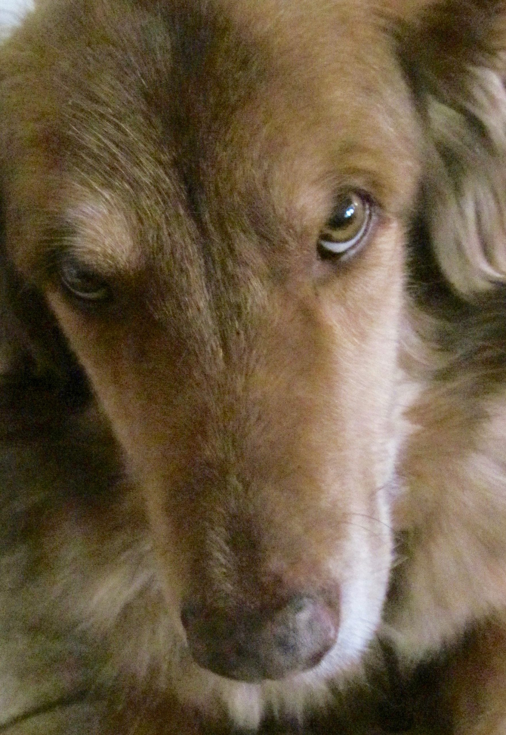 ValHughes(Smudge) | FOX 28 Spokane