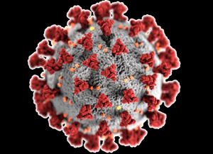 6009d7ff250aa.image.png | FOX 28 Spokane