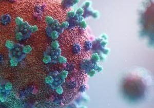 US virus deaths surpass 450K; daily toll is stubbornly high