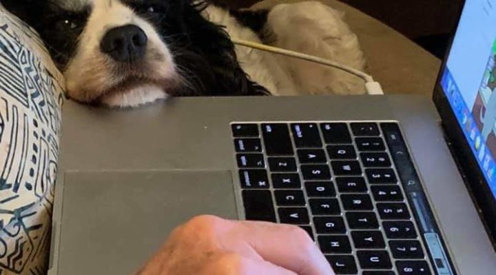 DebiDavis | FOX 28 Spokane