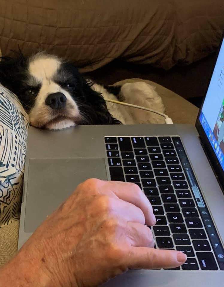 DebiDavis | FOX 28 Spokane