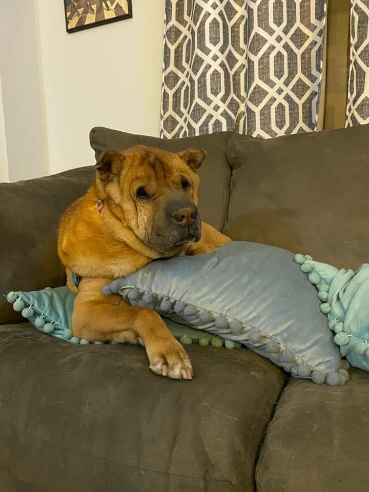 MandaLorian | FOX 28 Spokane