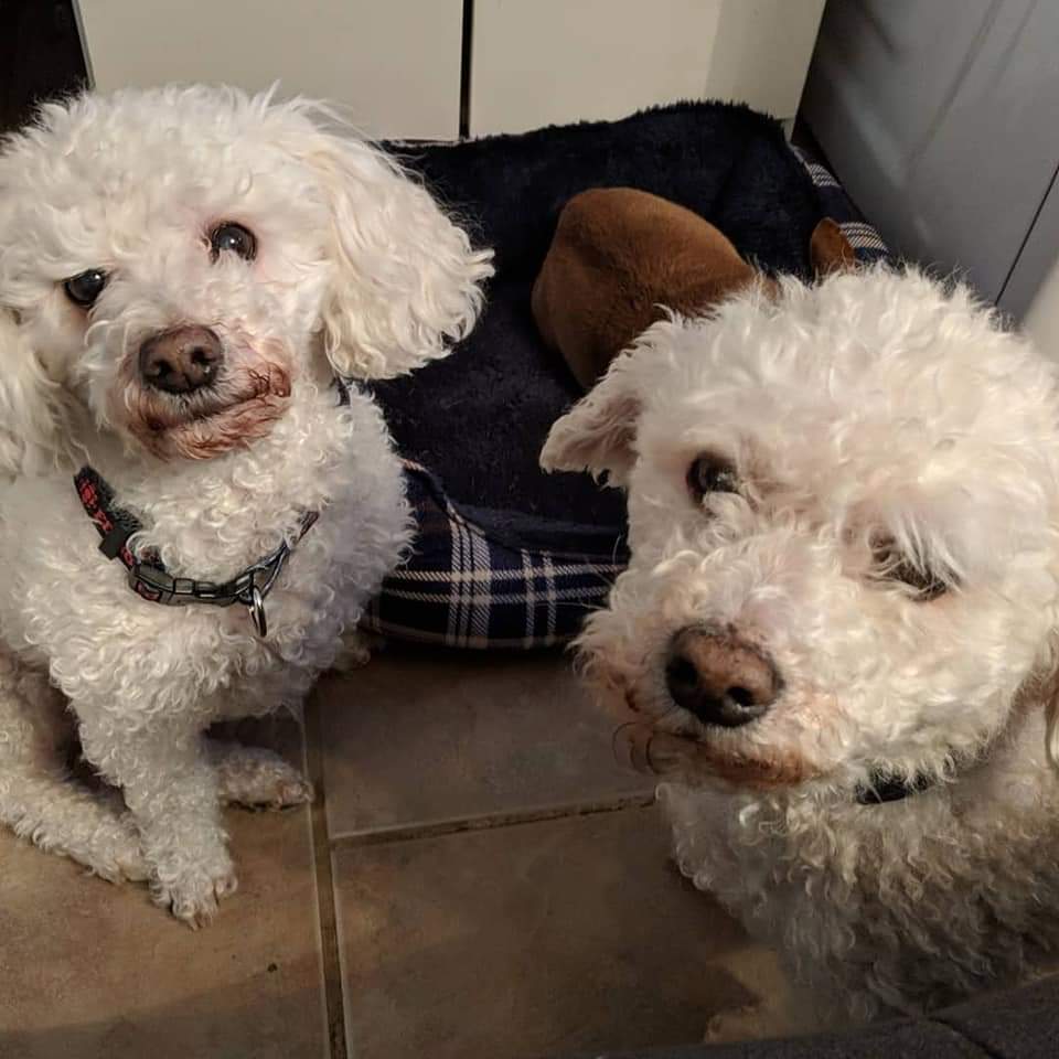 MarniDlin | FOX 28 Spokane