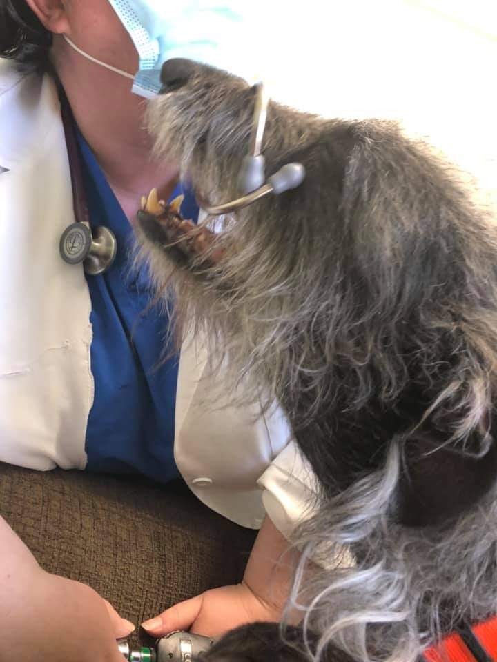 ChristieKeith | FOX 28 Spokane