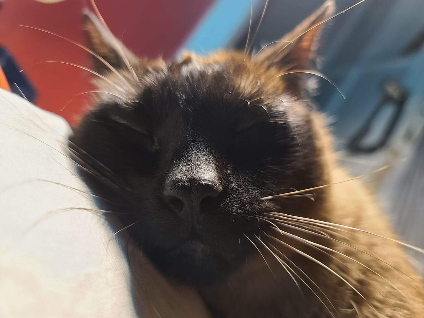 JessicaTheisendeGonzalez | FOX 28 Spokane