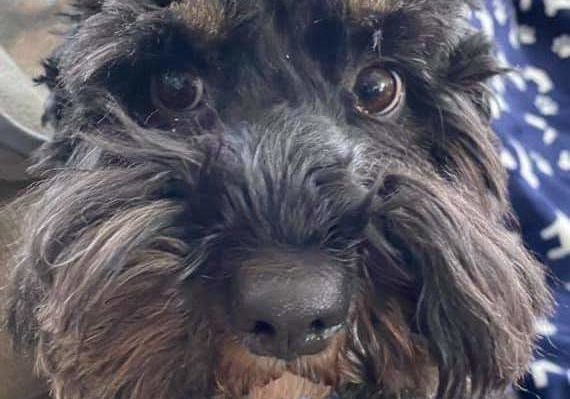 KellyMoseCuilia | FOX 28 Spokane