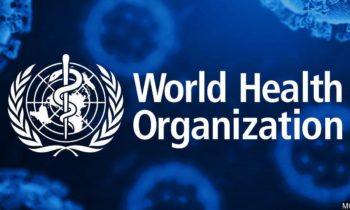 WHO report: COVID likely 1st jumped into humans from animals