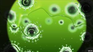 fb_image.jpeg | FOX 28 Spokane