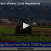 Judge Blocks Farm Worker Covid Regulations