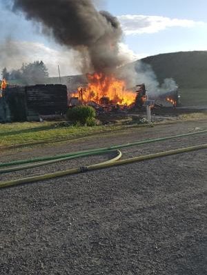 609c8a61030f7.image.jpg | FOX 28 Spokane