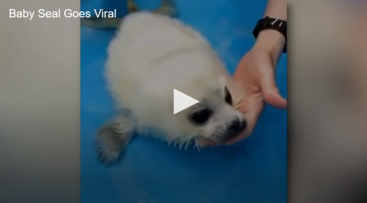 2021-05-07 at 11-09-53 Add New Post ‹ Fox 11 Tri Cities Fox 41 Yakima