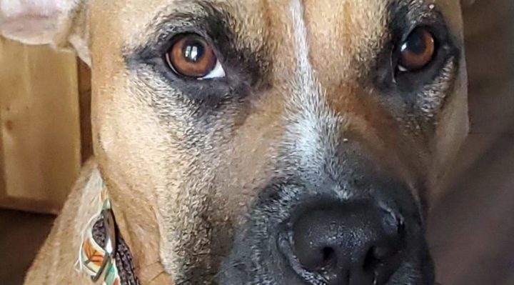 JoyceKesling | FOX 28 Spokane