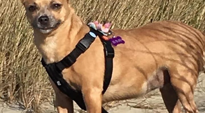 JennyJulian | FOX 28 Spokane