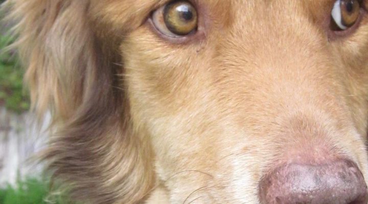 ValHughesSmudge | FOX 28 Spokane