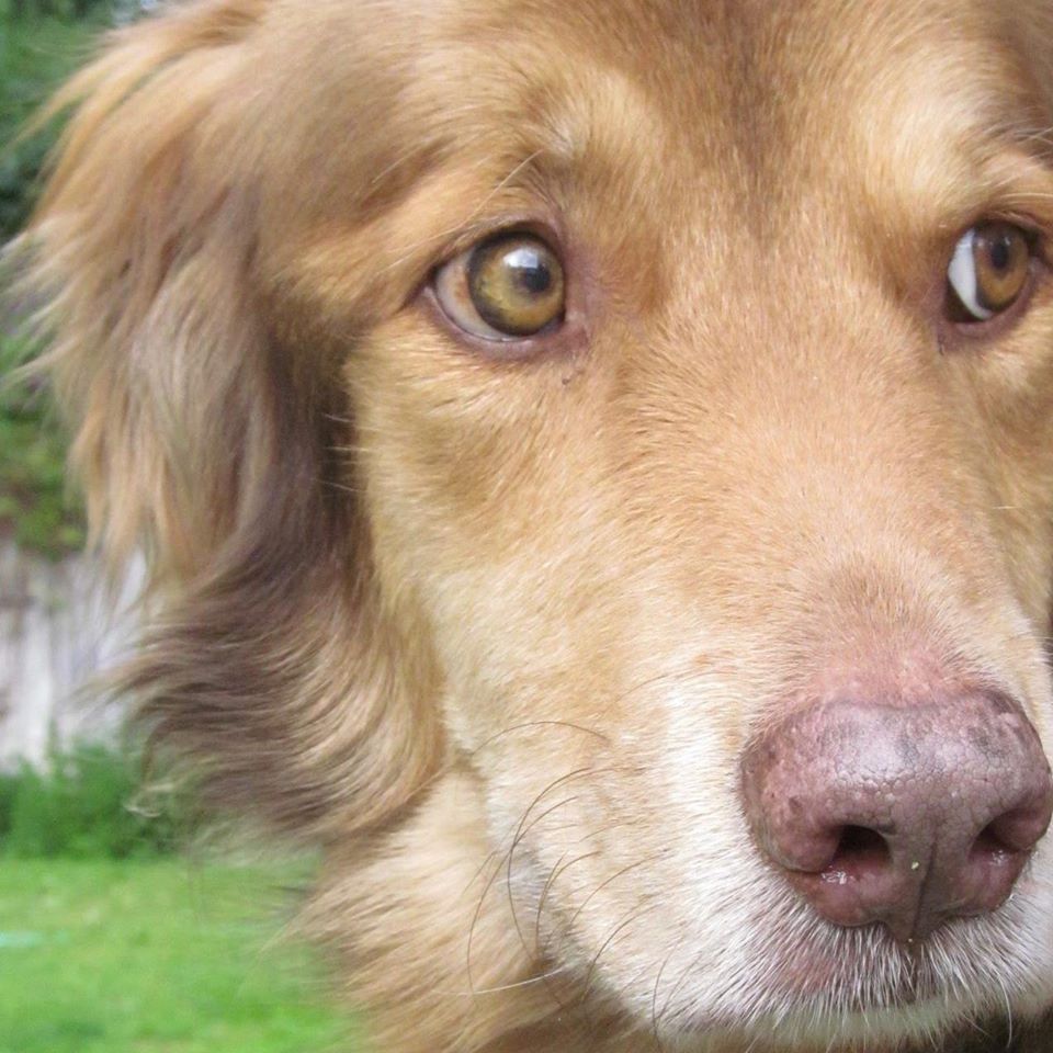 ValHughesSmudge | FOX 28 Spokane