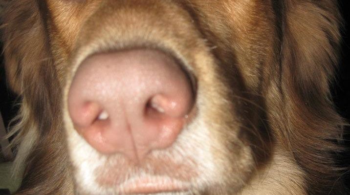 ValHughesSmudgeHeadshot | FOX 28 Spokane