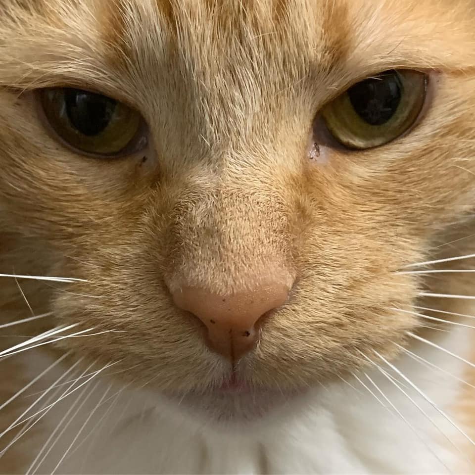 GloriaKelnhofer | FOX 28 Spokane