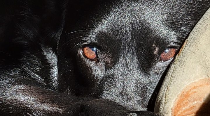 DaveKoch | FOX 28 Spokane