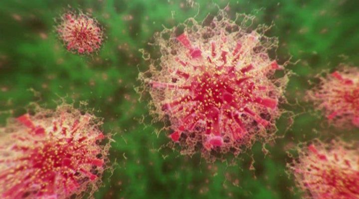 61a536418ff07.image (1) | FOX 28 Spokane