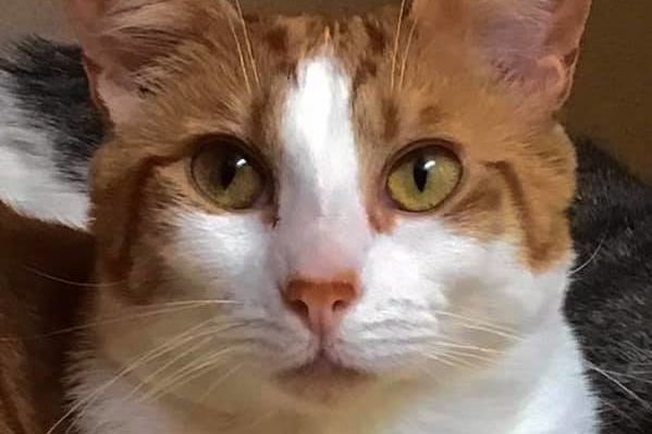 CarlosAlden | FOX 28 Spokane