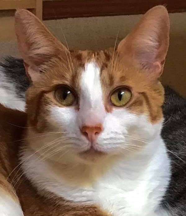 CarlosAlden | FOX 28 Spokane