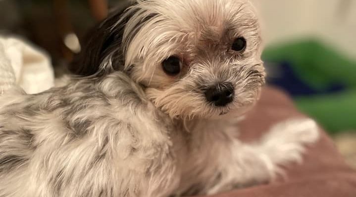 JaxonRiley | FOX 28 Spokane