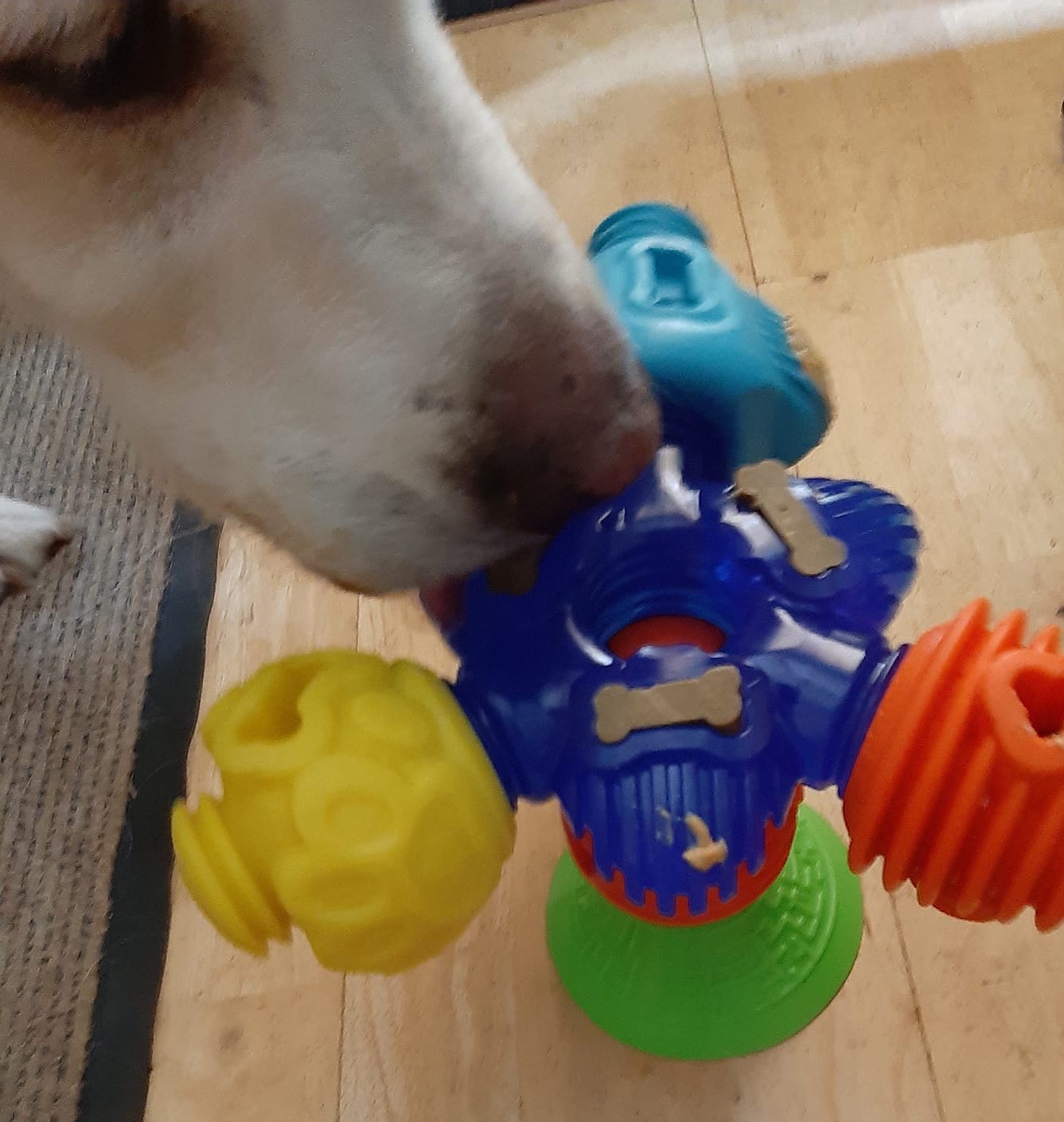 DeniseOMoore | FOX 28 Spokane