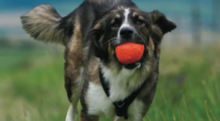 MichelleHollandCover | FOX 28 Spokane