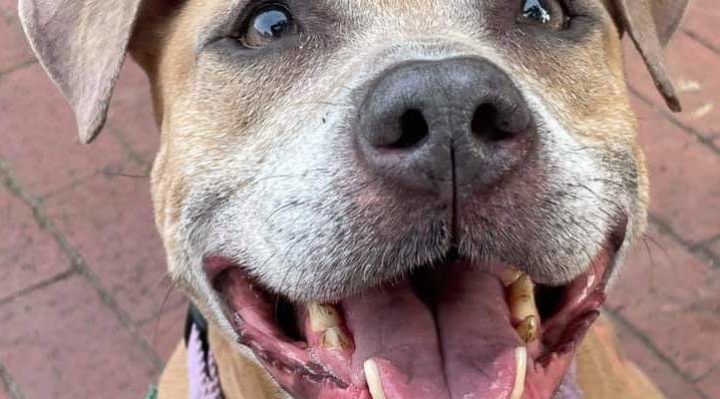 JenniferBristol | FOX 28 Spokane