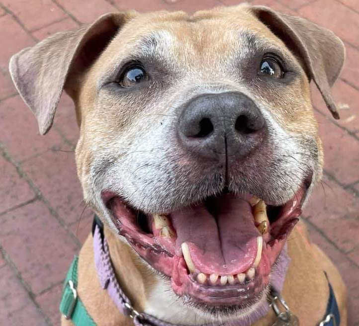 JenniferBristol | FOX 28 Spokane