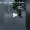 Miracle Dog Found Under 5ft of Snow FOX 28 Spokane